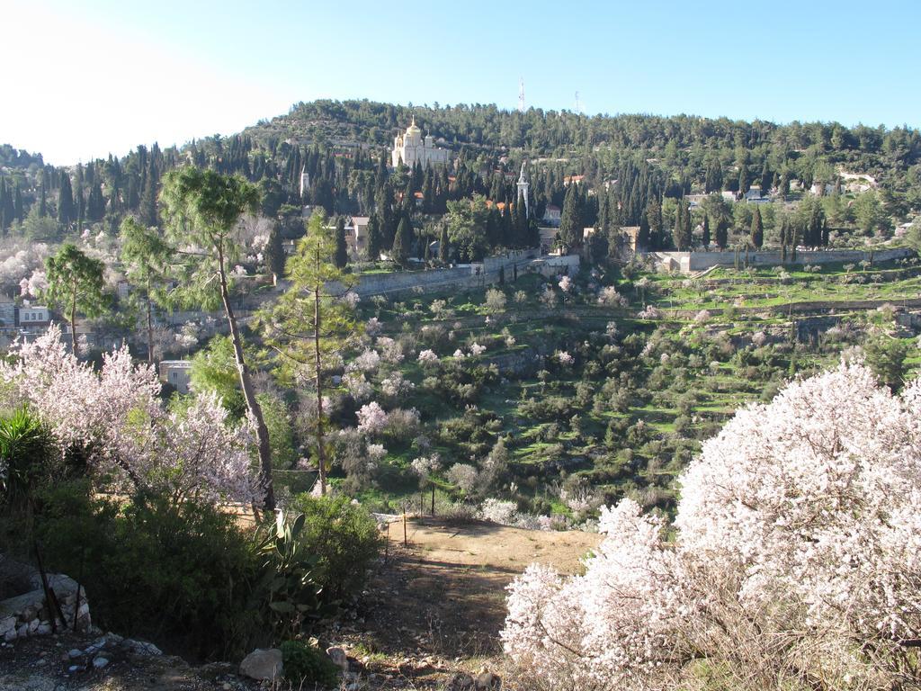 The Nest - A Romantic Vacation Home In Ein Kerem - Ierusalim Exterior foto