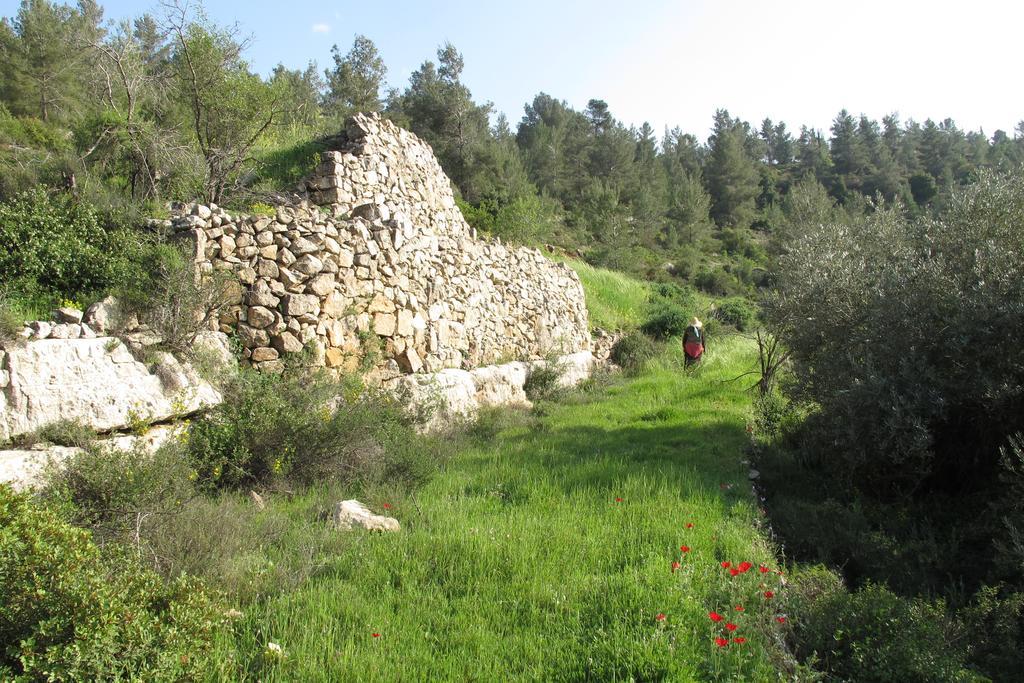 The Nest - A Romantic Vacation Home In Ein Kerem - Ierusalim Exterior foto